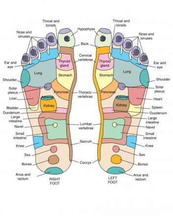Reflexology Foot Map